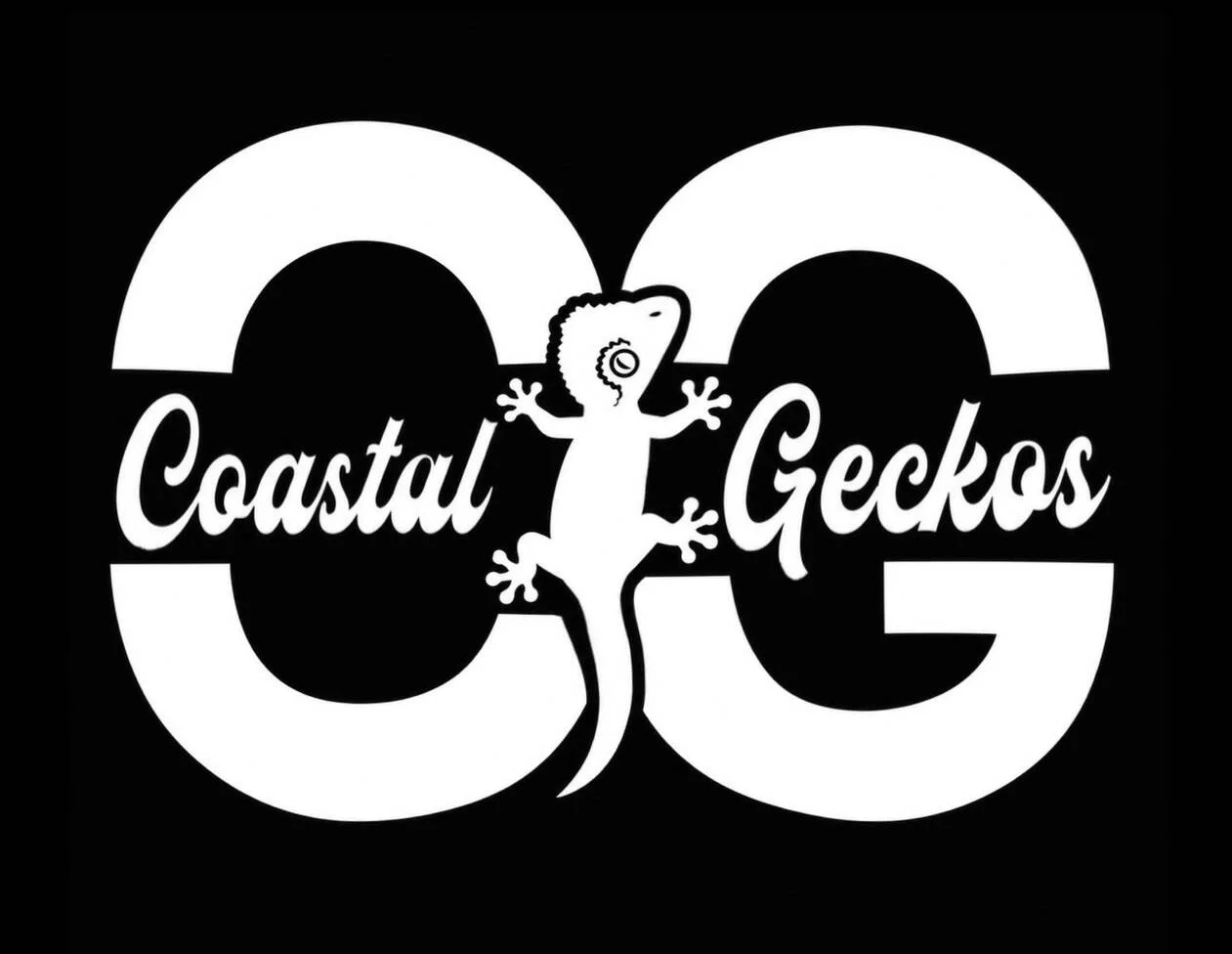 Coastal Geckos